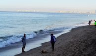 International residents walking the beach in the morning with their dog Downtown south Puerto Vallarta Jalisco Mexico.