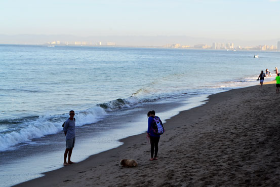 International residents walking the beach in the morning with their dog Downtown south Puerto Vallarta Jalisco Mexico.