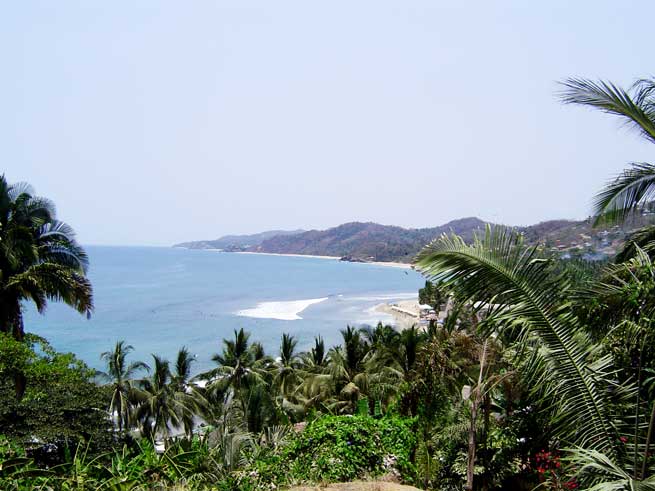 View of Sayulita coast from a construction site on the hill with lots of tropical plants like palm trees on a clear day.