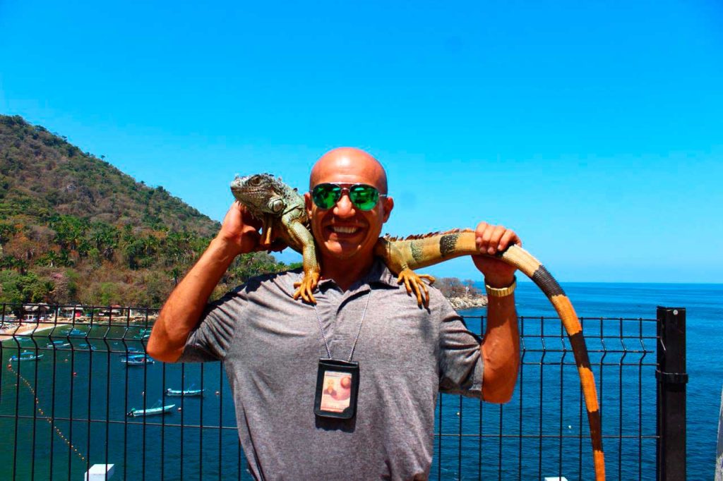 Sergio Chavez holding a male green Iguana on shoulders, with Mismaloya beach, mountain and bay in the background on a sunny day in Mexico.